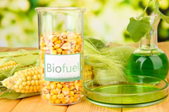 Clifton biofuel availability